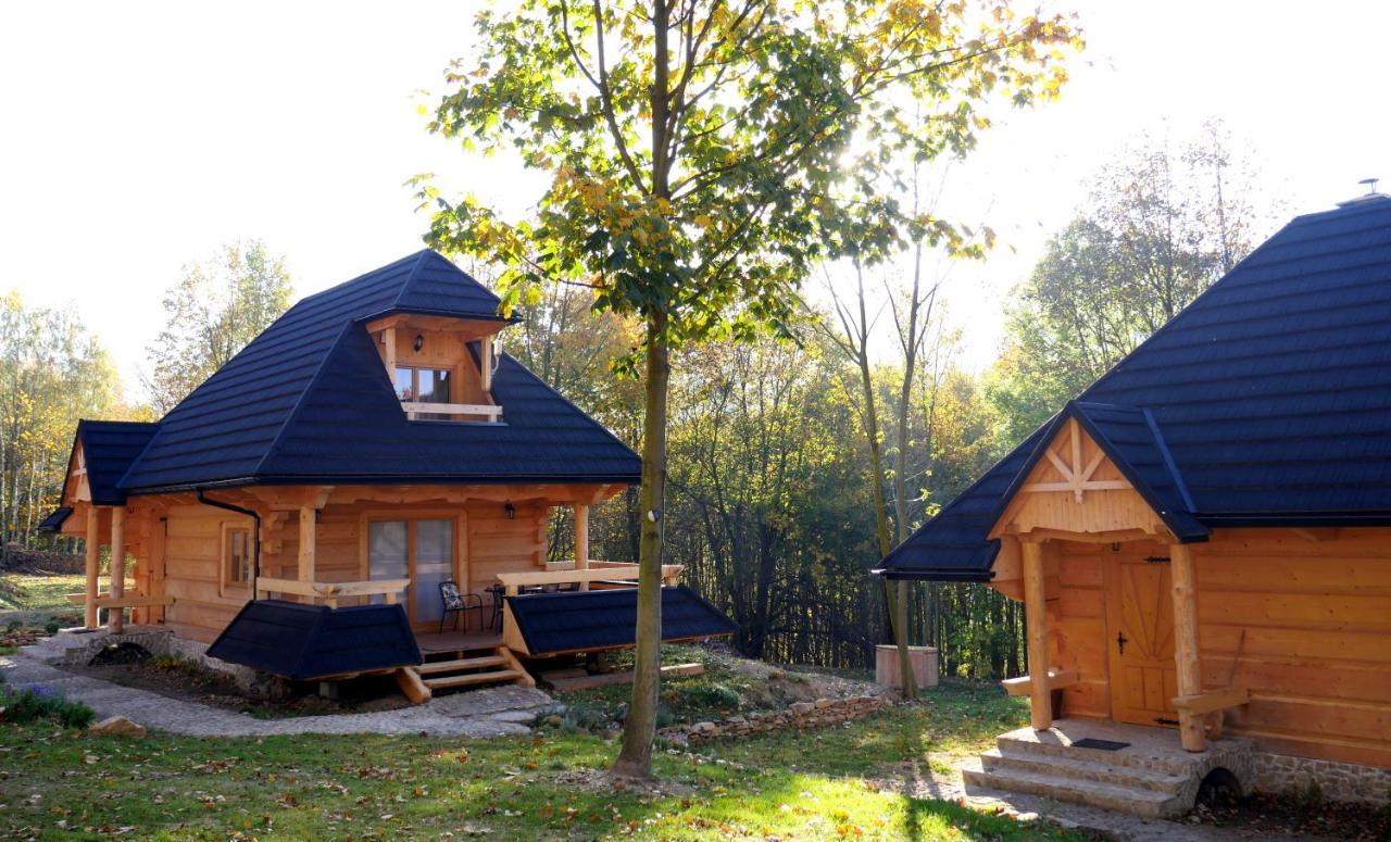 Osada Sudecka Villa Ladek-Zdroj Exterior photo